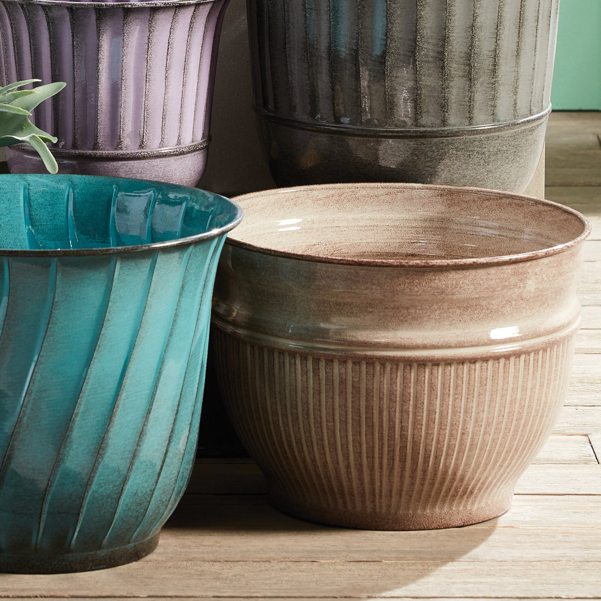 Camelia Pots, Set Of 3 by Napa Home and Garden